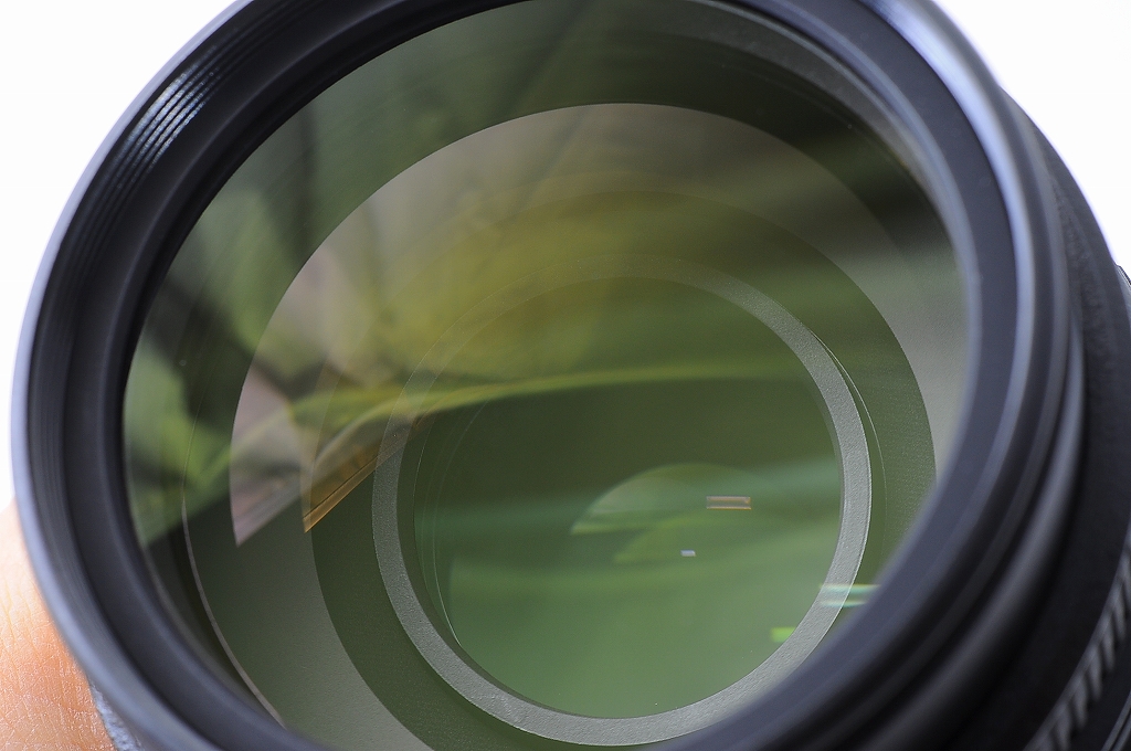 Nikon AF-S NIKKOR 55-300mm F4.5-5.6G ED DX VR Lens w/HB-57 Hood